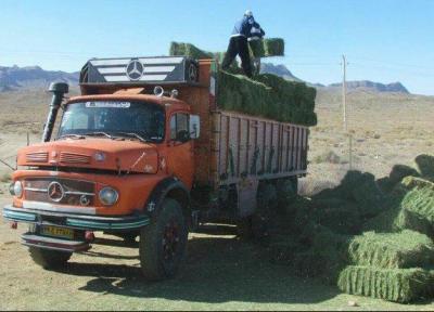 40 تن علوفه برای حیات وحش پارک ملی توران شاهرود خریداری شد