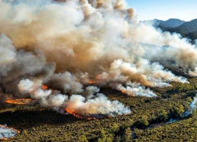 آتش بلای جان قدیمی ترین گونه های گیاهیِ تاسمانی