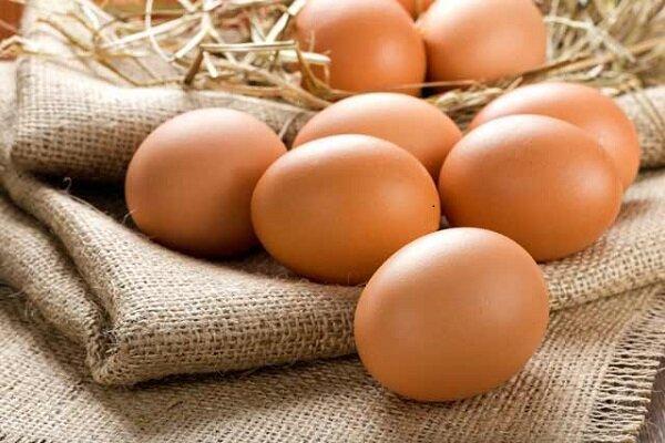 مصرف روزانه بیش از دو تخم مرغ ریسک بیماری های قلبی را افزایش می دهد