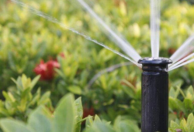 آبیاری قطره ای 25 هکتار از فضای سبز دانشگاه حکیم سبزواری