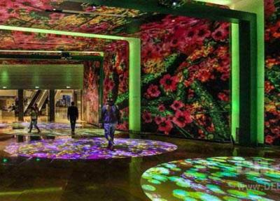 باغ نور و نیلوفر آبی