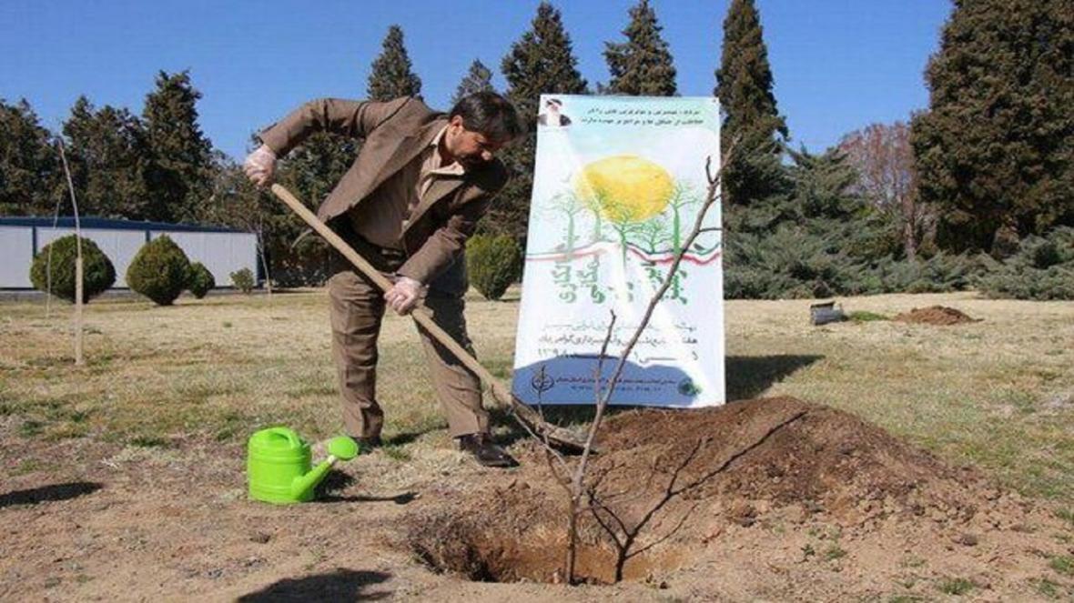 فرهنگ درختکاری مد نظر دستگاه های اجرایی استان قرار گیرد