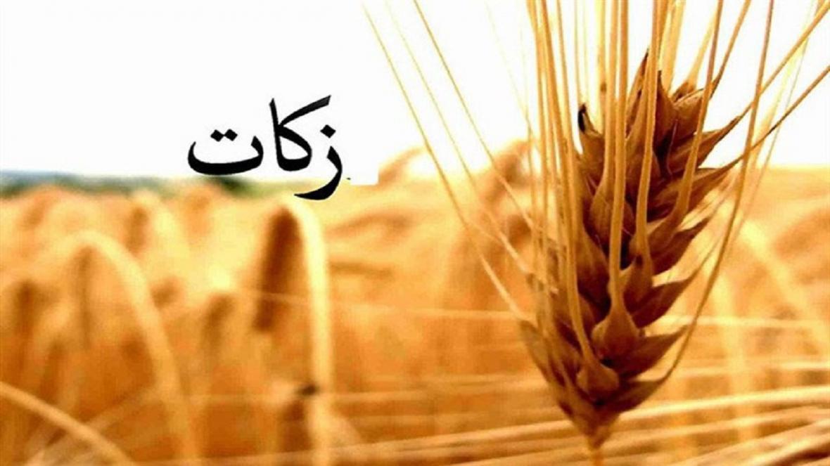 افزایش پرداخت زکات در خراسان رضوی