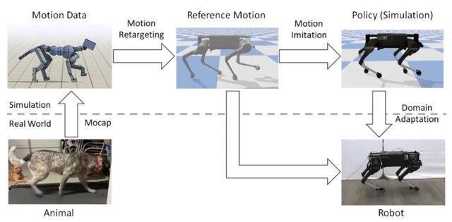 آموزش روبات های چهارپا با تقلید از رفتار حیوانات