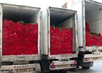 ماجرای مهریه یک میلیون شاخه گل در کرمان چه بود؟