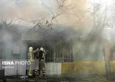 حریق 40 درخت با قدمت 30 ساله در اهواز