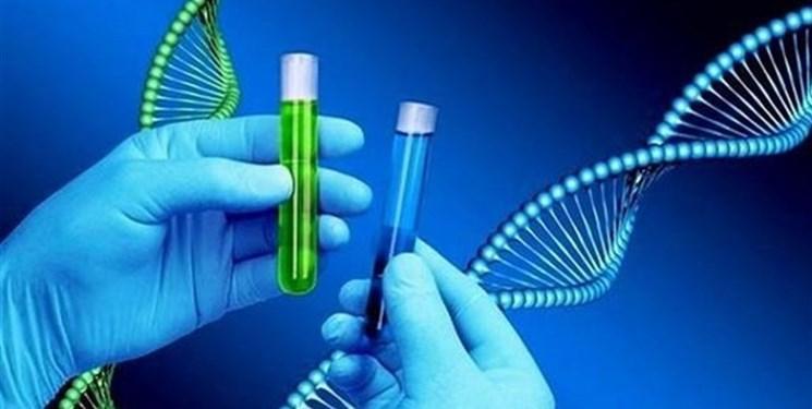 طراحی و تولید کیت جداسازی سلول های سرطانی در خون توسط نخبگان طراحی و تولید کیت جداسازی سلول های سرطانی در خون توسط نخبگان