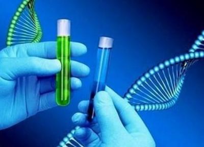 طراحی و تولید کیت جداسازی سلول های سرطانی در خون توسط نخبگان