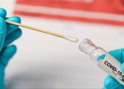 همه چیز درباره جهش جدید کروناویروس؛ از احتمال تشدید بیماری زایی تا اثرگذاری بر واکسن