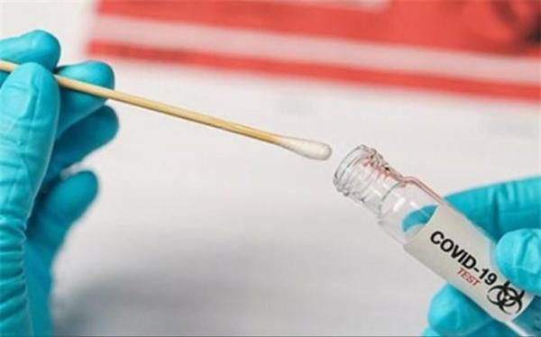 همه چیز درباره جهش جدید کروناویروس؛ از احتمال تشدید بیماری زایی تا اثرگذاری بر واکسن