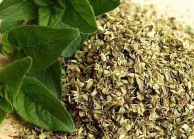 اسانسی برای نابودی سلول های سرطان کولون