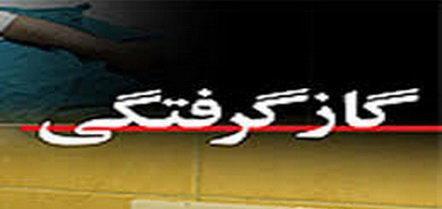 افزایش 150 درصدی مسمومیت با گاز Co در نیشابور افزایش 150 درصدی مسمومیت با گاز Co در نیشابور