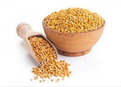 چربی سوزی با یک ماده غذایی سالم و مغذی