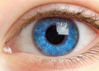 آنالیز روش های نوین درمان بیماری های چشم، میزان شیوع عیوب انکساری