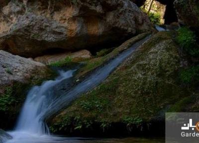تنگ بستانک؛ بهشتی گمشده در جنوب ایران، تصاویر