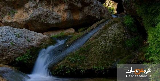 تنگ بستانک؛ بهشتی گمشده در جنوب ایران، تصاویر