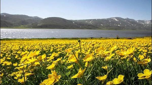 بار آلودگی دریاچه نئور کاهش می یابد