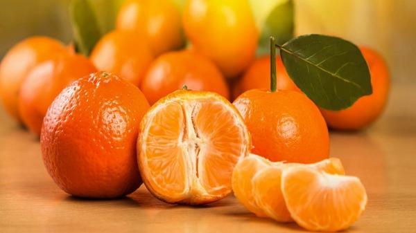 جریان برداشت نارنگی های نارس در مازندران چیست؟