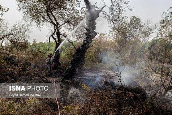 آتش در جنگل های بلوط حفاظت شده ایذه ، مهار حریق پس از 10 ساعت