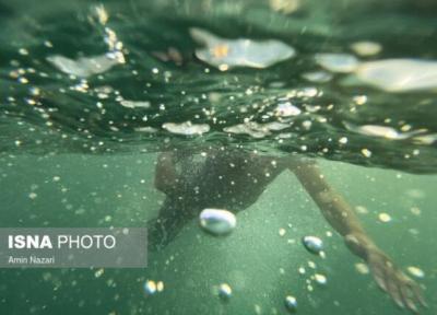 صید 3 نشان طلای کشور به وسیله شناگران خوزستانی
