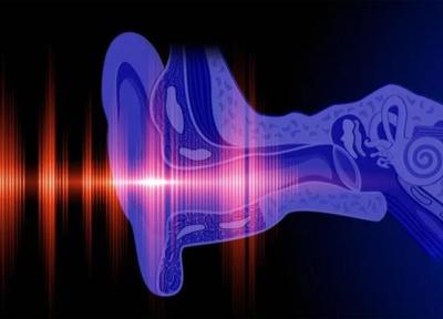 بازیابی شنوایی با یاری احیای سلول های مویی گوش