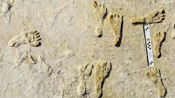 قدیمی ترین ردپای انسان در آمریکا، اولین انسان چه زمانی به قاره تازه رسید؟، عکس